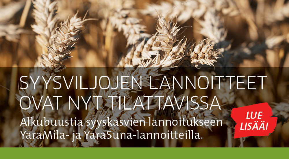 Syysviljojen lannoitteet